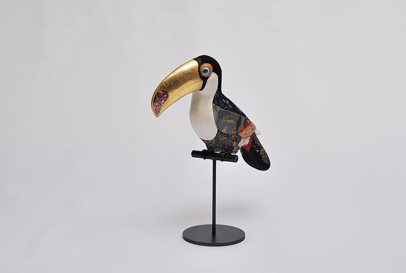 Koikko: Golden Beak – Toco Toucan (B)