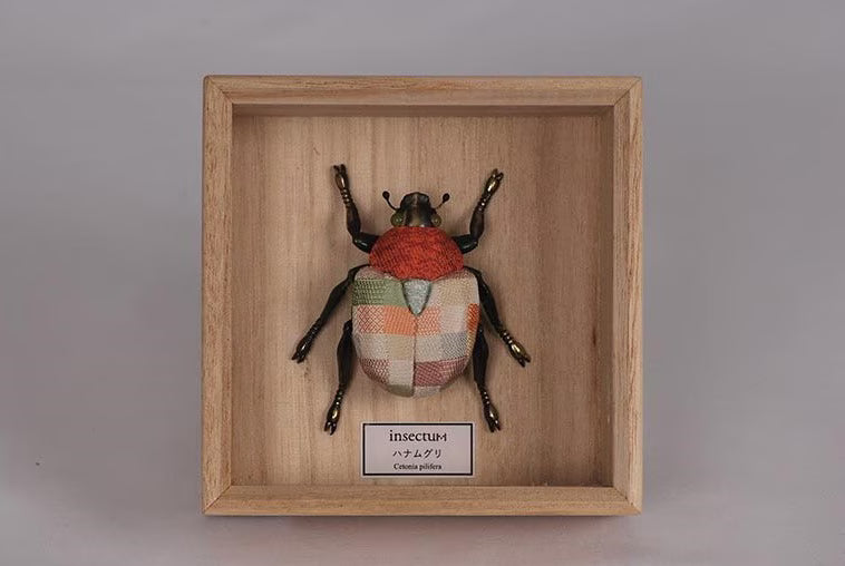 Koikko: insectum Series — Kimekomi Insect Flower Beetle (Made with 3D ...