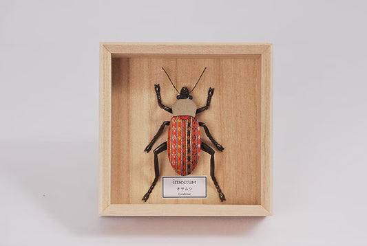 Koikko: insectum Series — Kimekomi Insect Ground Beetle (Made with 3D Printing Technology)