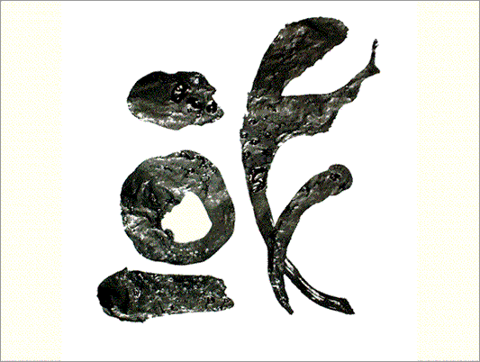 Kei Sato: Ancient Calligraphy:国 (Country)