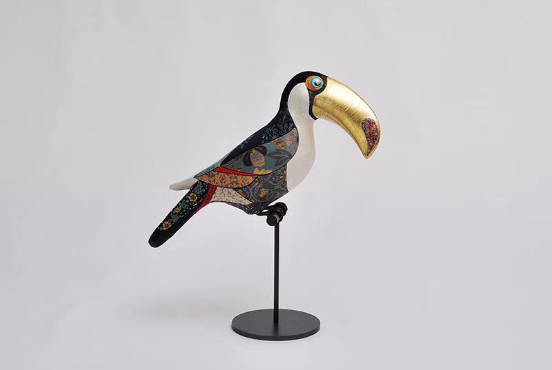 Koikko: Golden Beak – Toco Toucan (B)