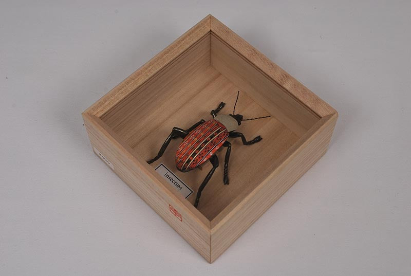 Koikko: insectum Series — Kimekomi Insect Ground Beetle (Made with 3D Printing Technology)