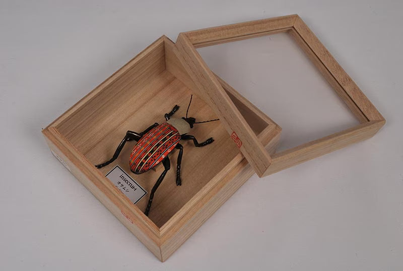 Koikko: insectum Series — Kimekomi Insect Ground Beetle (Made with 3D Printing Technology)